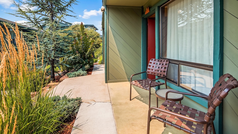 Best Western Plus Tree House 2/43
