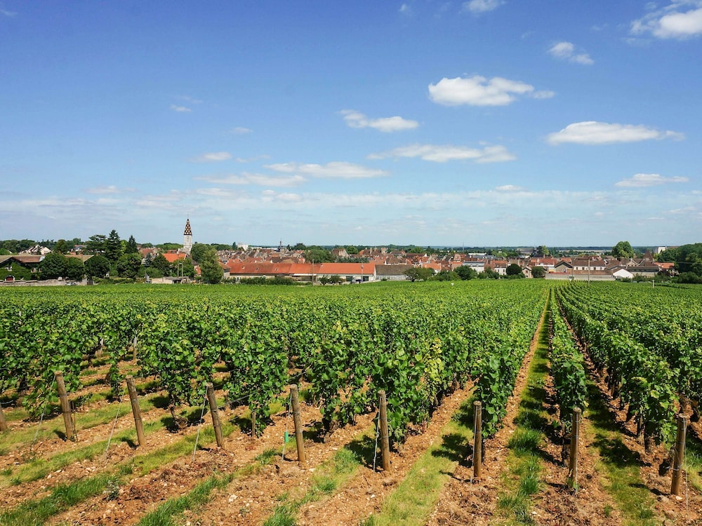 IBIS BUDGET NUITS-SAINT-GEORGES 48/52