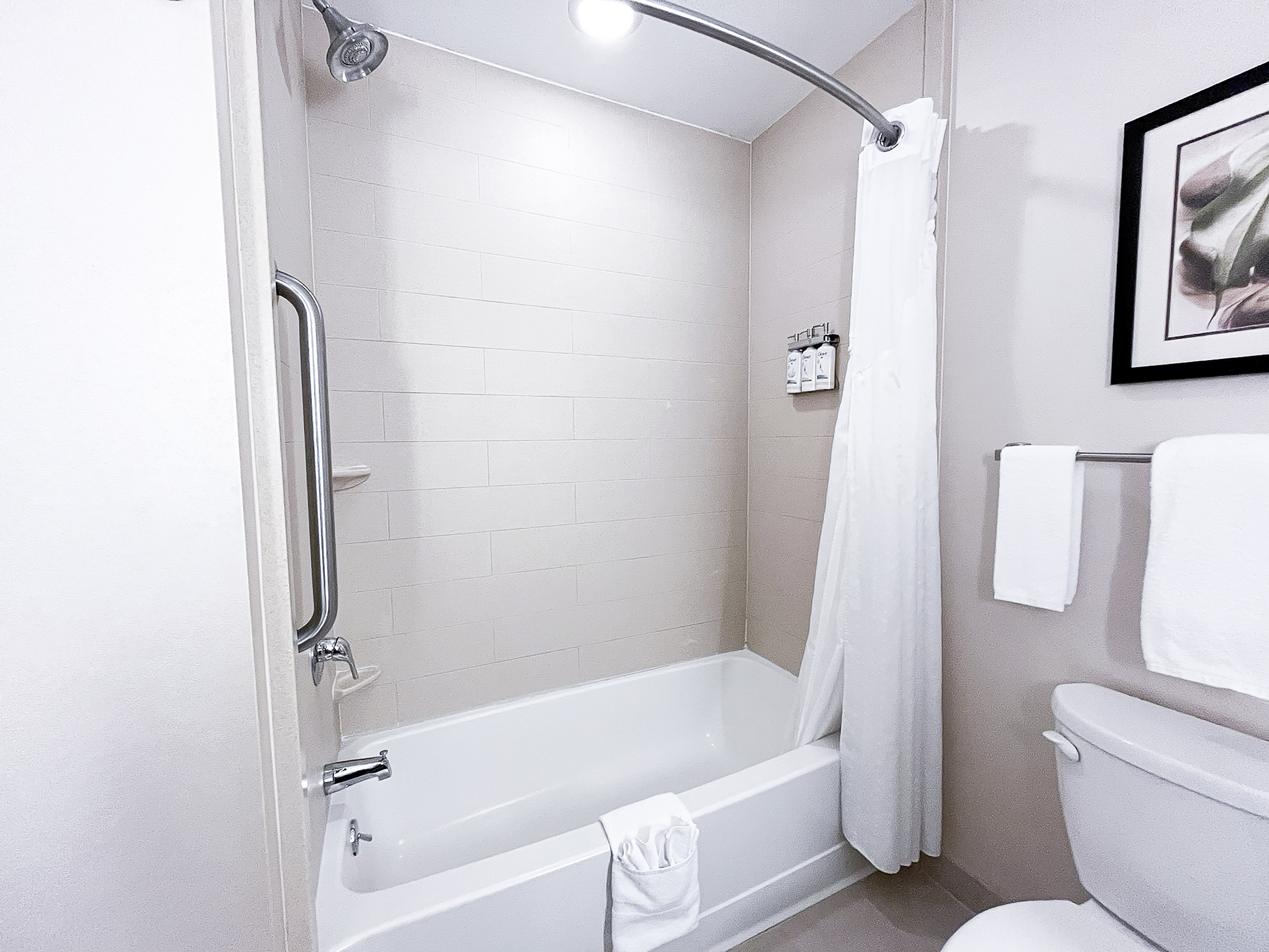 Holiday Inn Express Hotel And Suites Morton Peoria Area 68/70