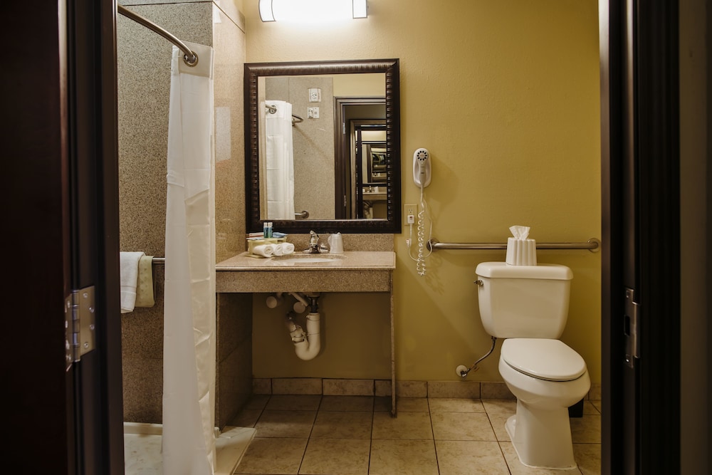 Holiday Inn Express & Suites Waller - Prairie View 23/54