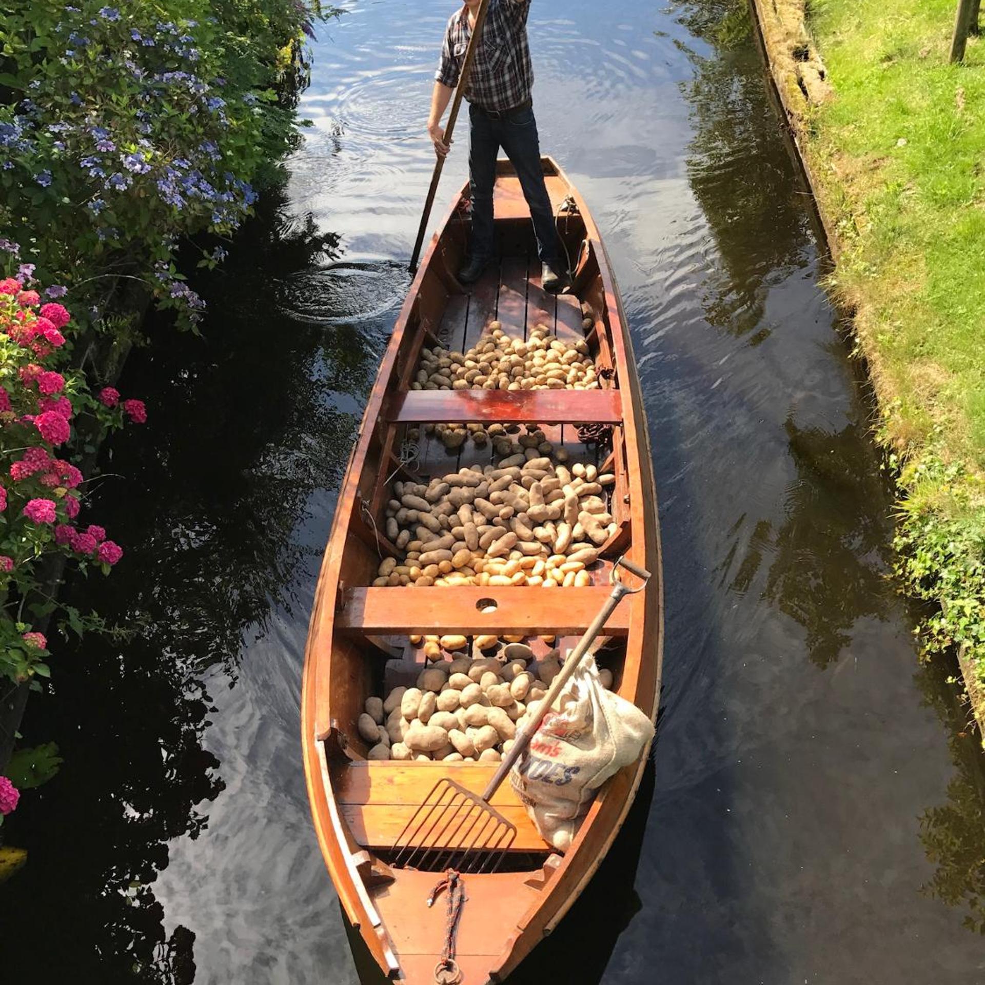 De Dames Van De Jonge Hotel 18/40