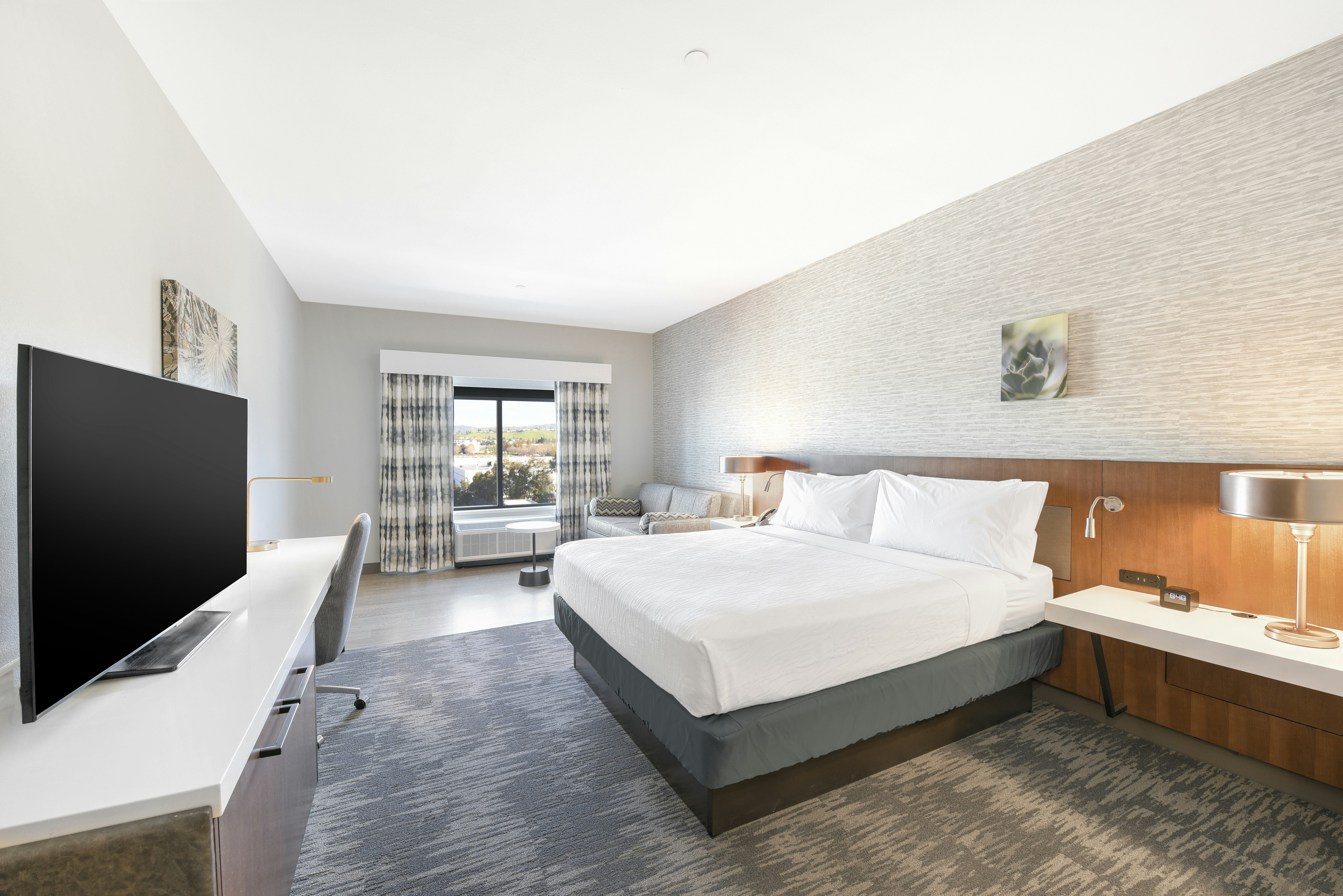 غرفة ديلوكس بسرير كينج مع أريكة، Hilton Garden Inn Fremont CA 2/3