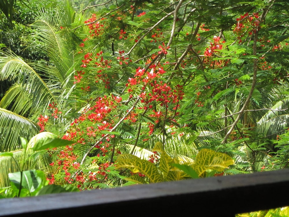 Hibiscus Valley Inn 34/50
