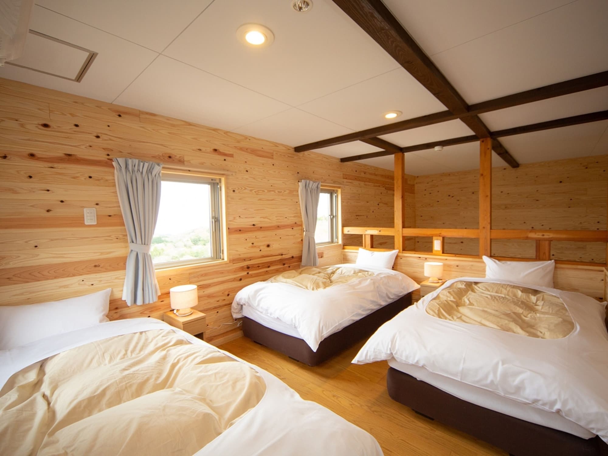 Mountain, Cottage, 3 Futon Beds