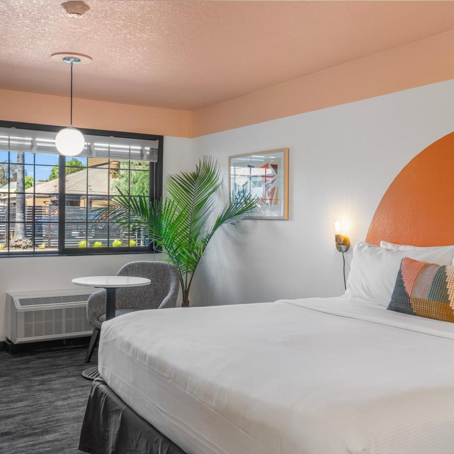 Efficiency, King Bed, Accessible