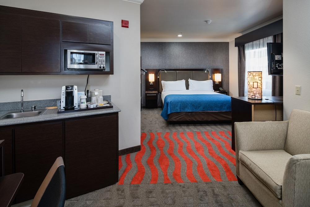 Holiday Inn Express Hotel Suites Santa Clara 12/58