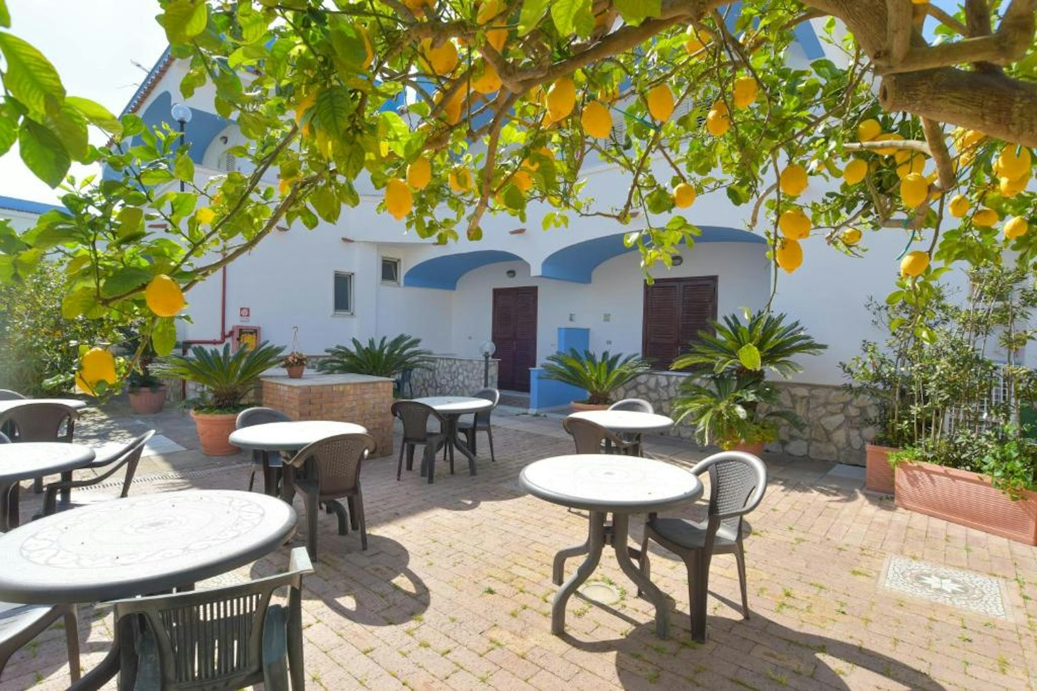 HOTEL CELESTE 60/62