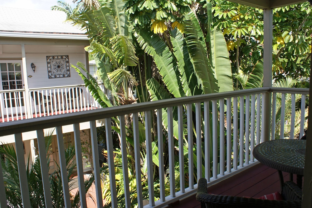 Sabal Palm House 2/41