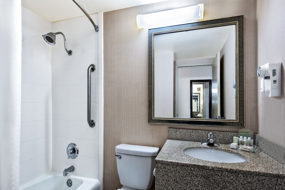 Holiday Inn Dallas Dfw Airport Area West 48/50