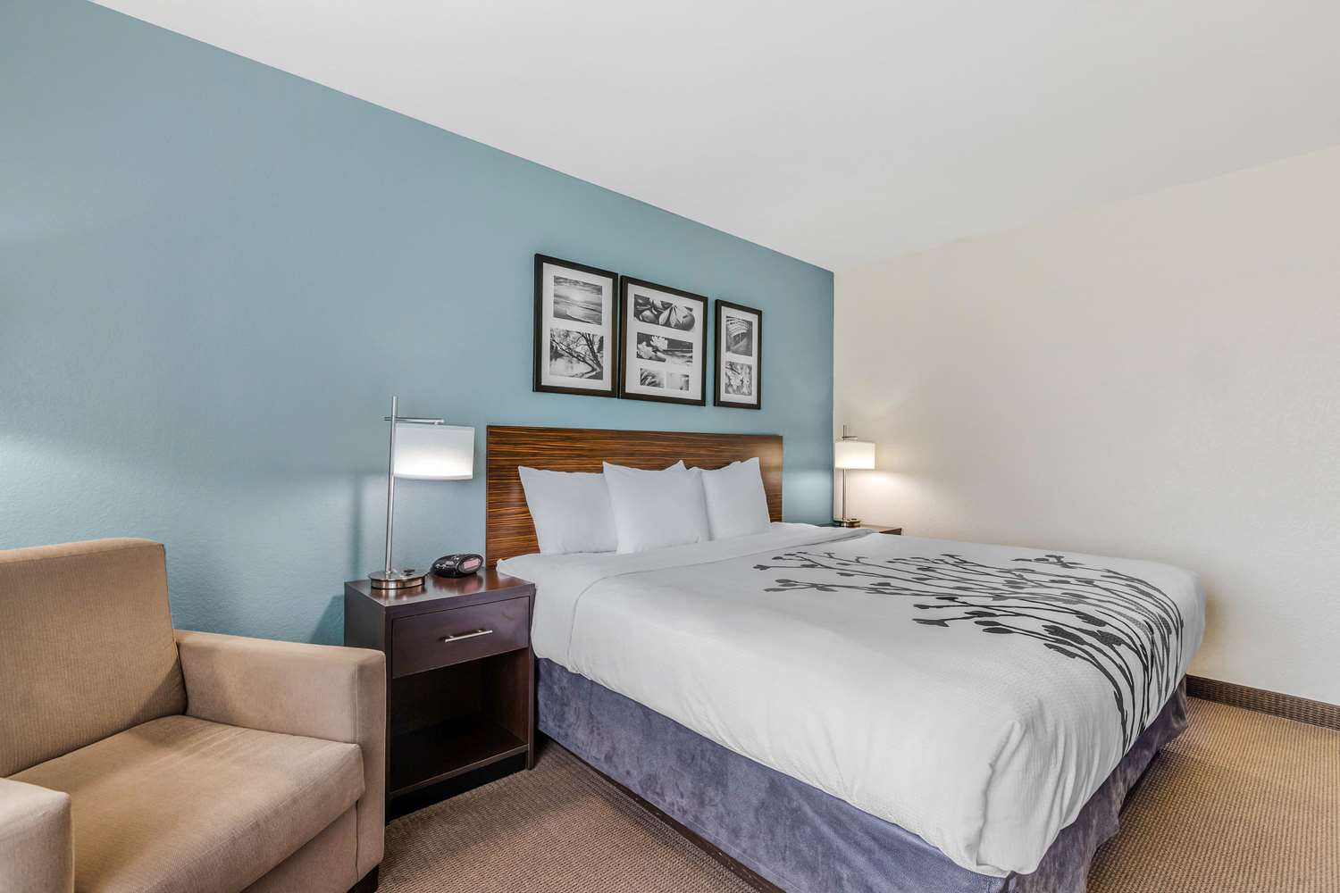 Room, King Bed