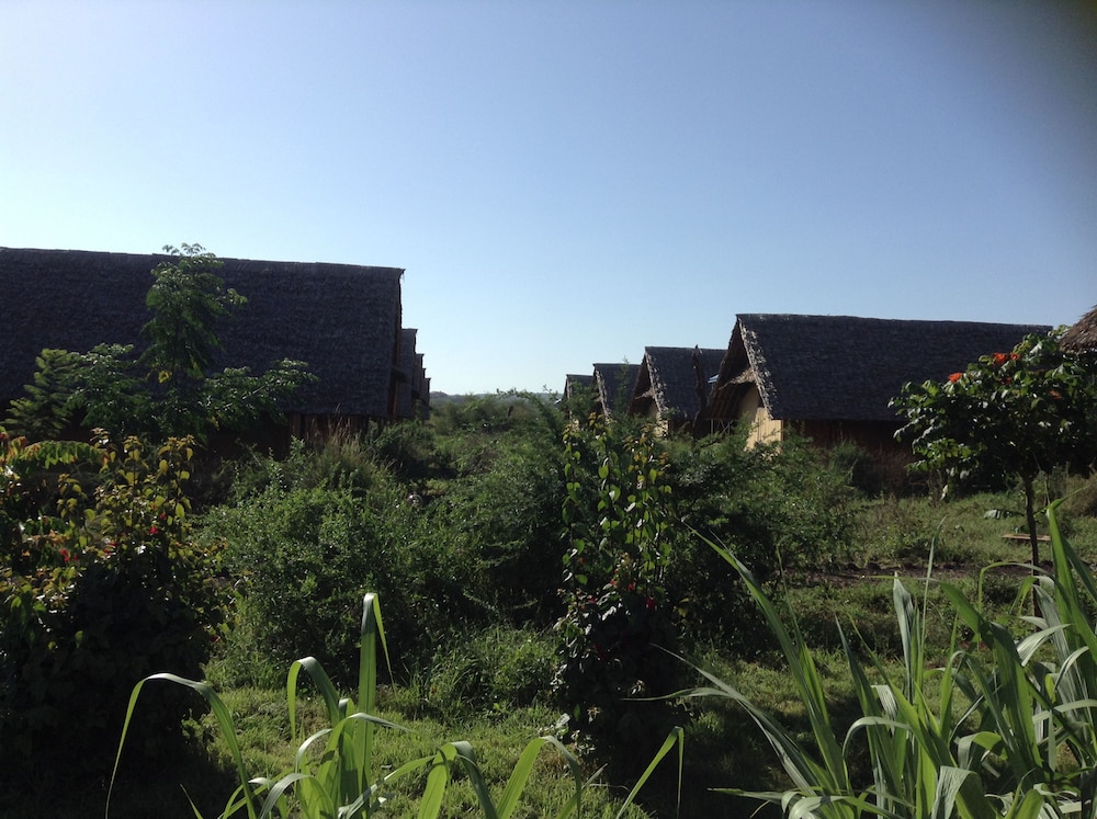 AA Lodge Amboseli 44/50