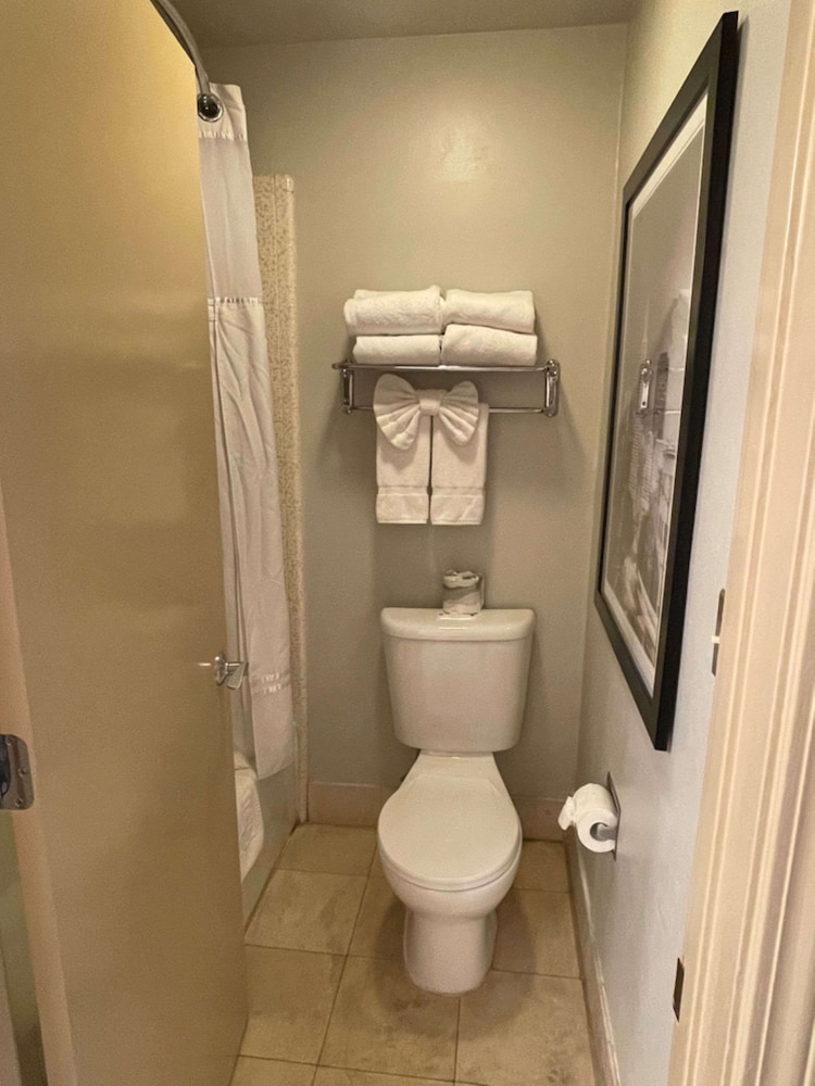 Surestay Plus Hotel By Best Western Mountain View 24/70