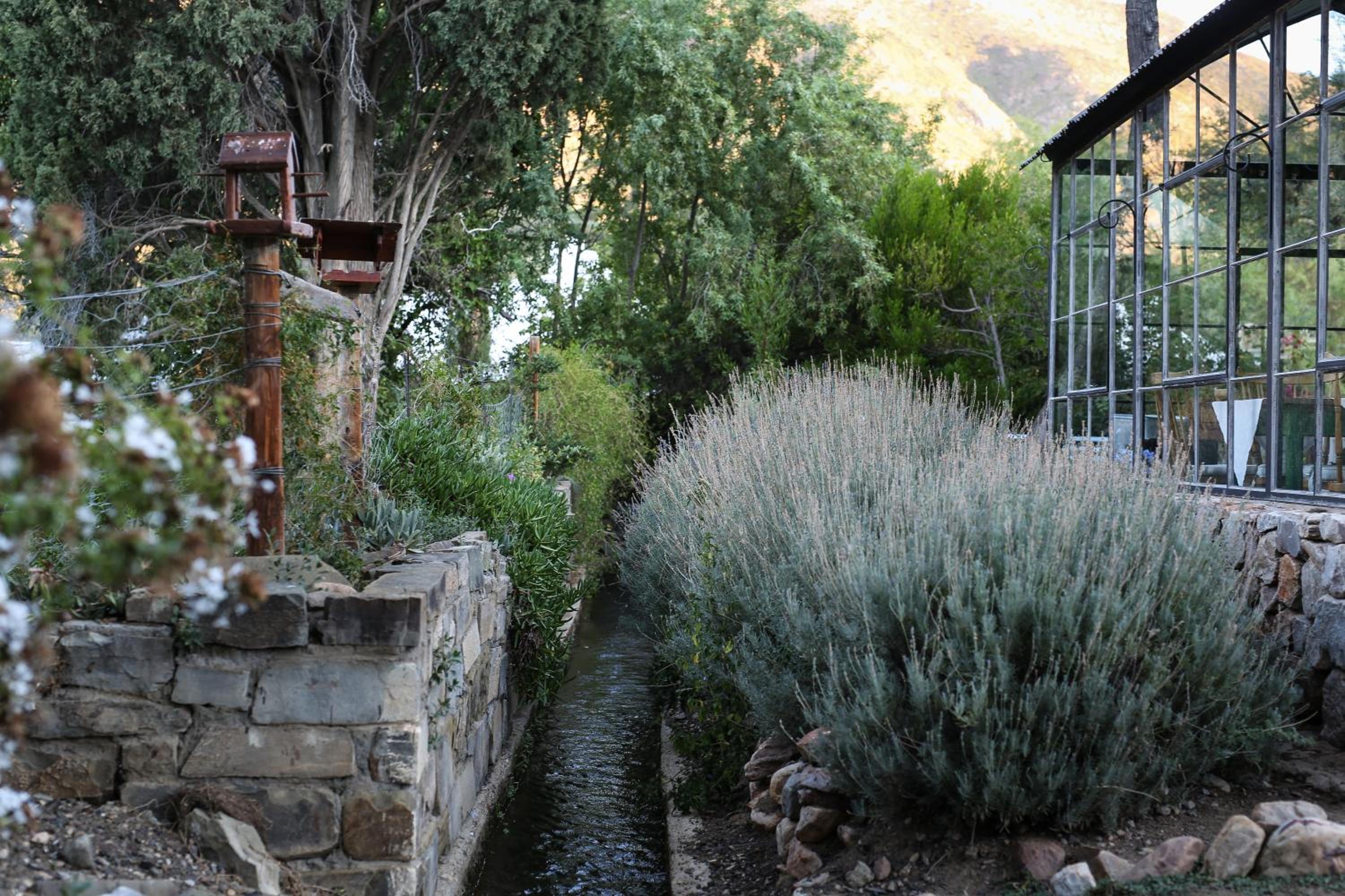 Dennehof Karoo Guesthouse 21/30