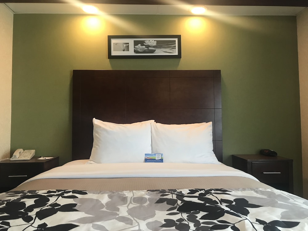 Baymont By Wyndham Flat Rock 26/49