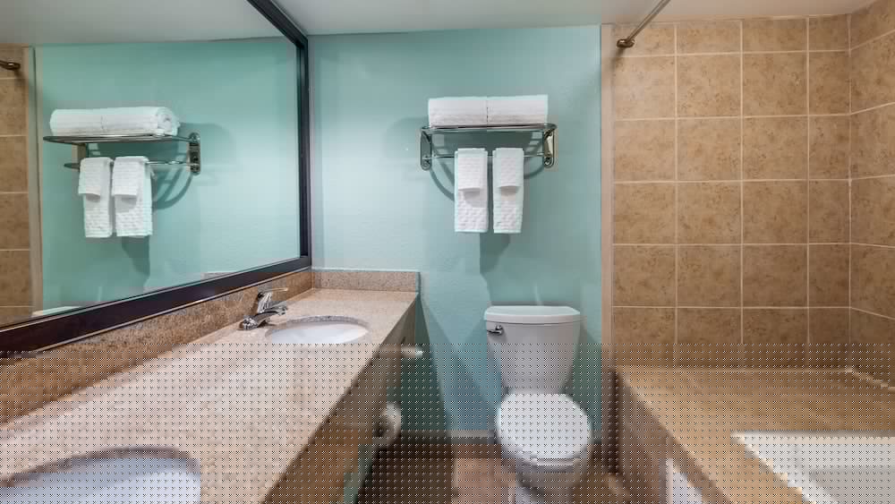 Best Western Plus Myrtle Beach @ Intracoastal 16/38