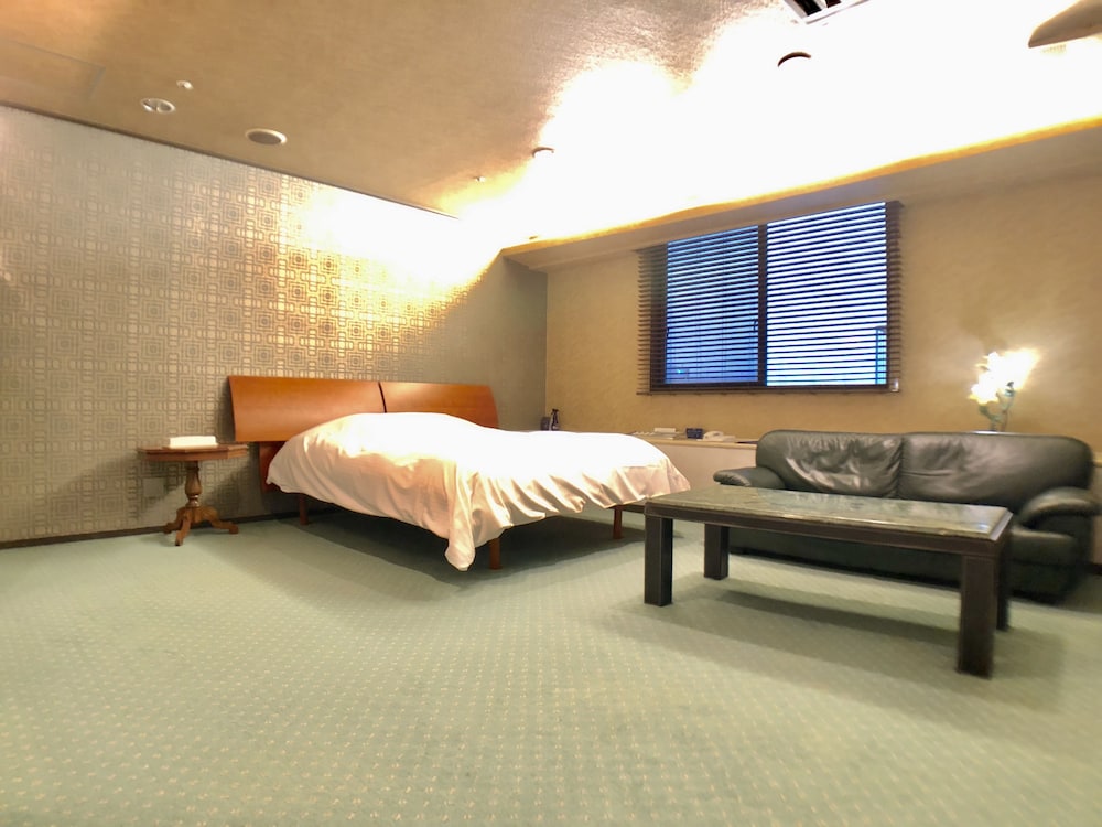 Hotel Ritz Koshien 8/62