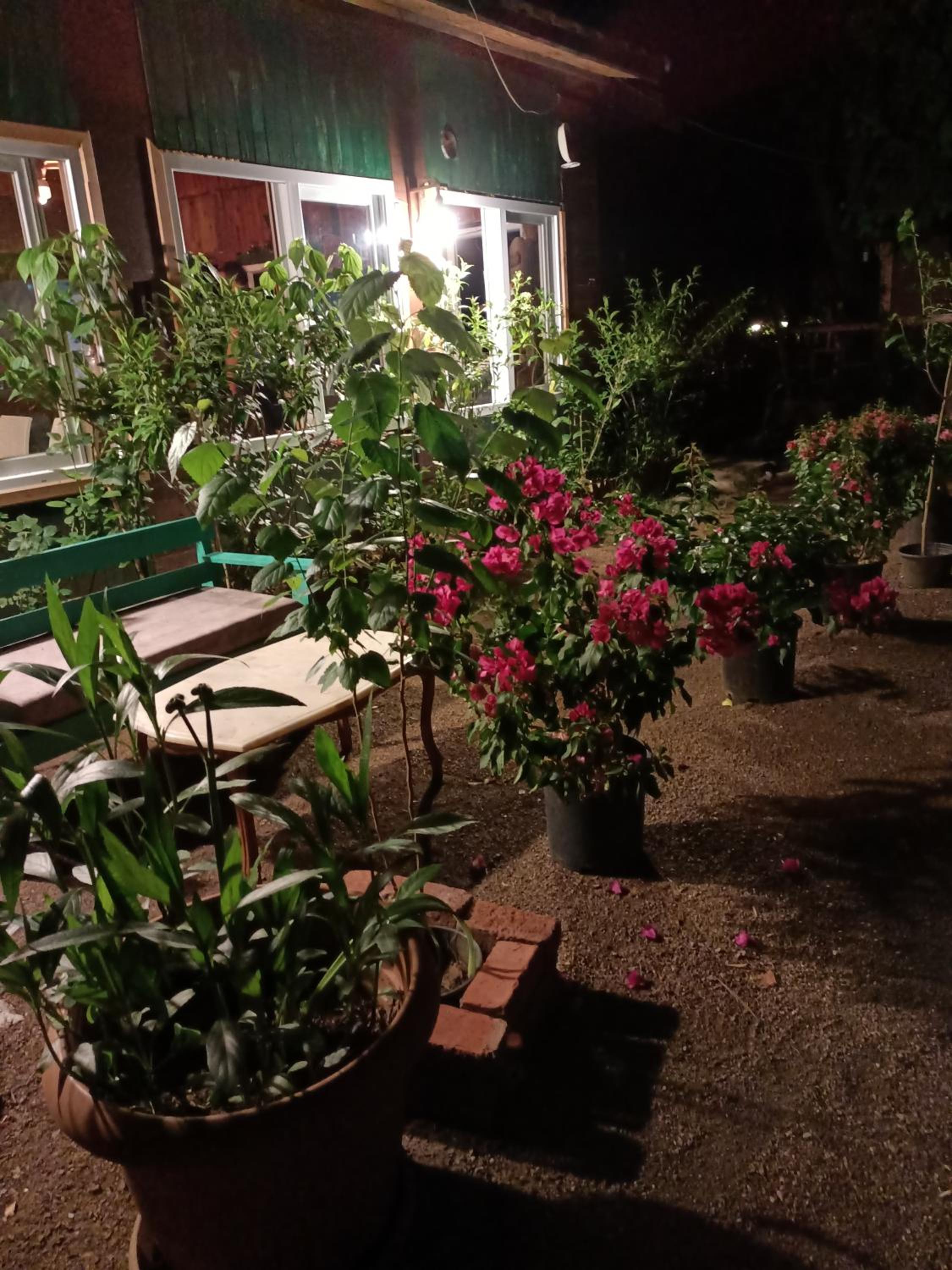 Canario Pension Bungalow 41/50