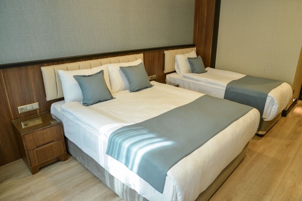 Valens Hotel Downtown 10/66