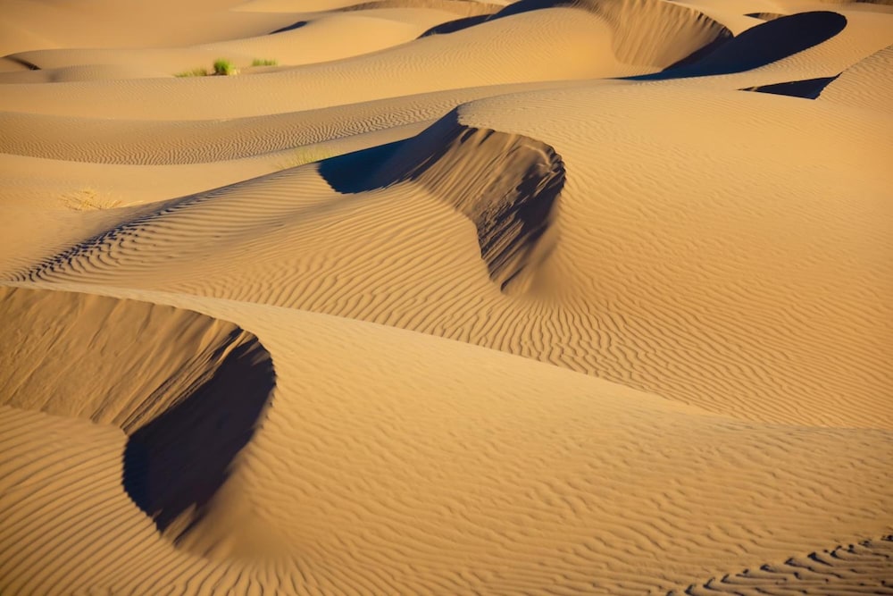La Dune Blanche 4/48