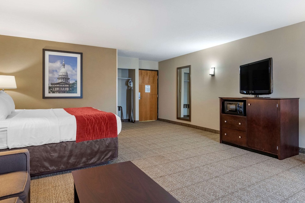 Comfort Inn Lansing West MI 25/61