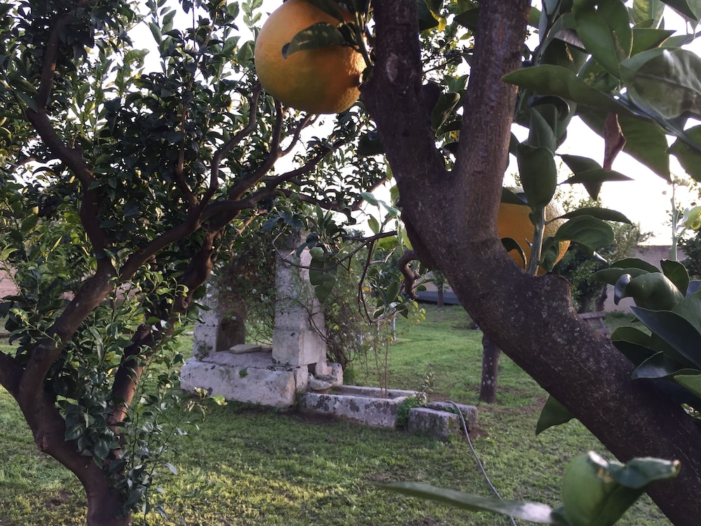 Agriturismo Arangea 31/42