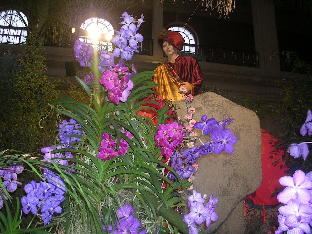 Hotel Alexandra 11/50