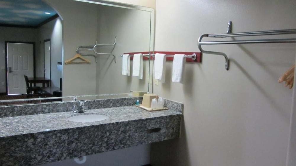 Palace Inn Greenspoint 19/30