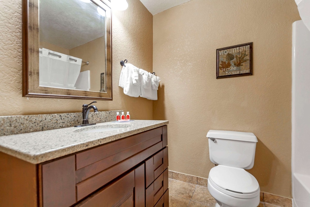 Econo Lodge Black Hills 20/46