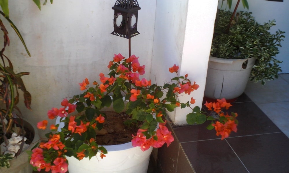 Chez Lorna 7/48