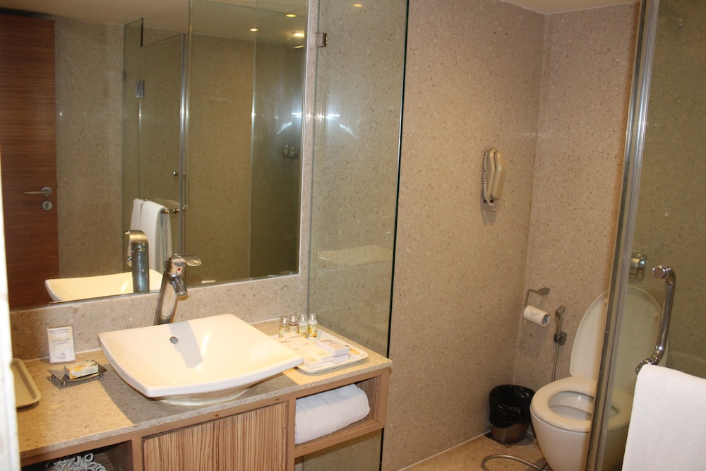 Pride Plaza Hotel Ahmedabad 6/36