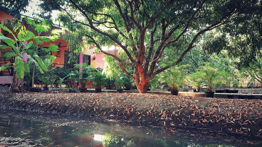 Warakorn Baansuan - Amphawa 45/50