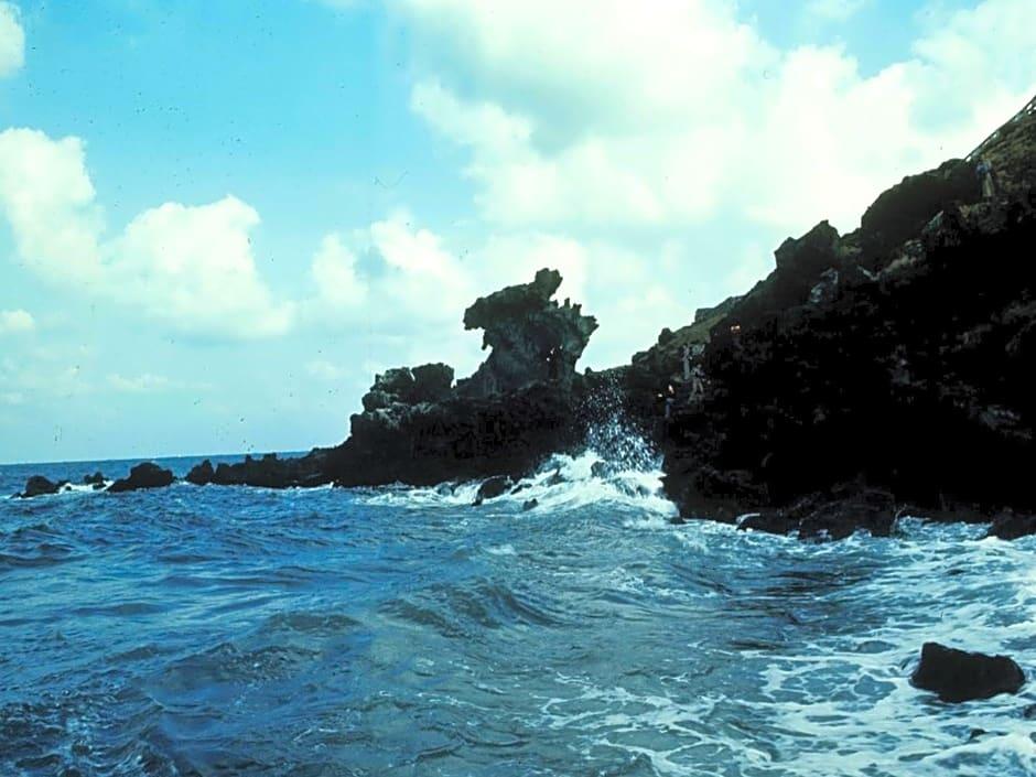 Mir Guesthouse Jeju Branch 43/49