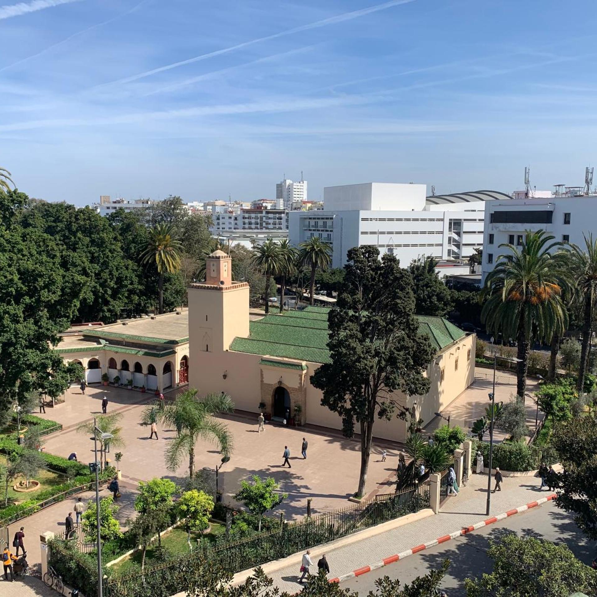 Royal Rabat 8/41