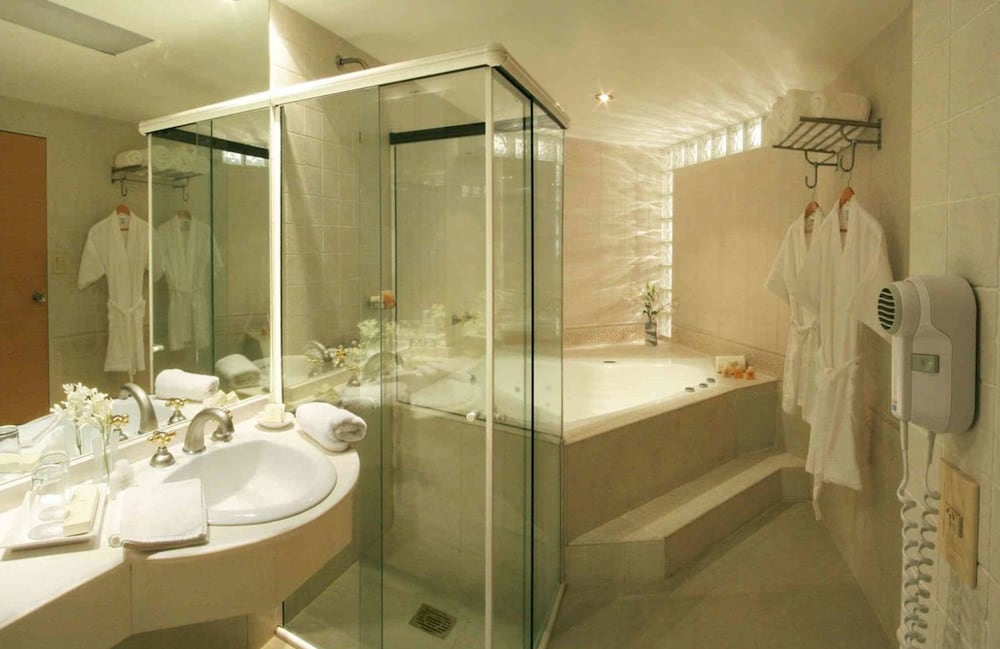 Plaza Real Suites Hotel 24/59