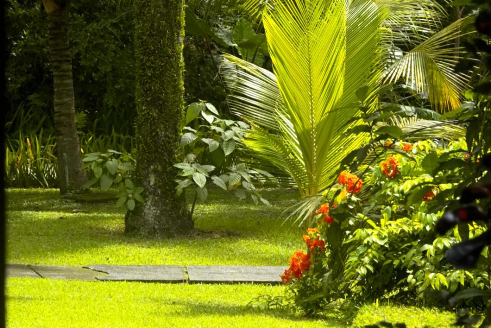 Bumi Kinar Ubud 39/50
