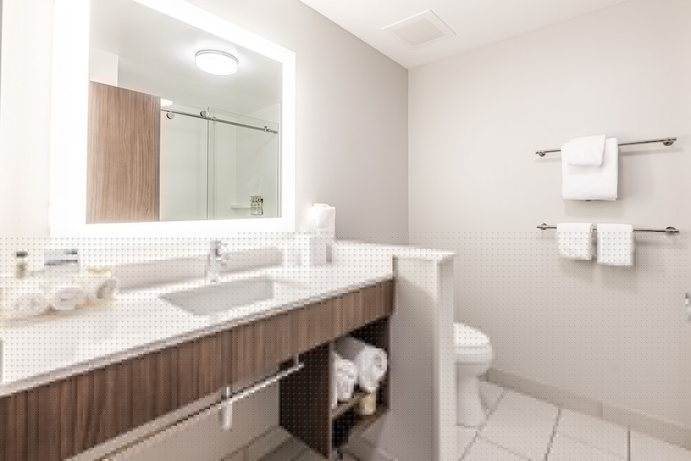 Holiday Inn Express Suites Rantoul 17/76