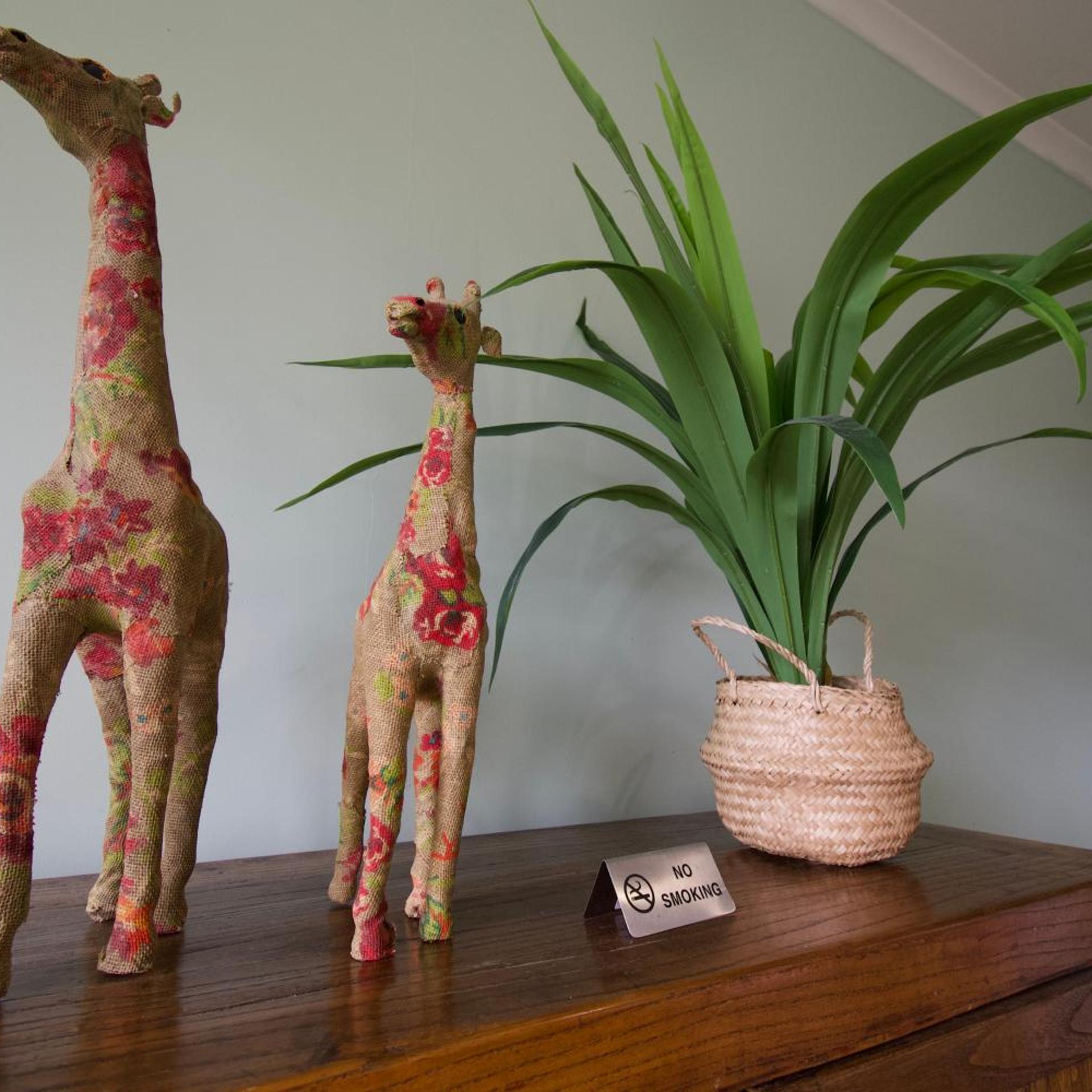 Port Campbell Hostel 22/50