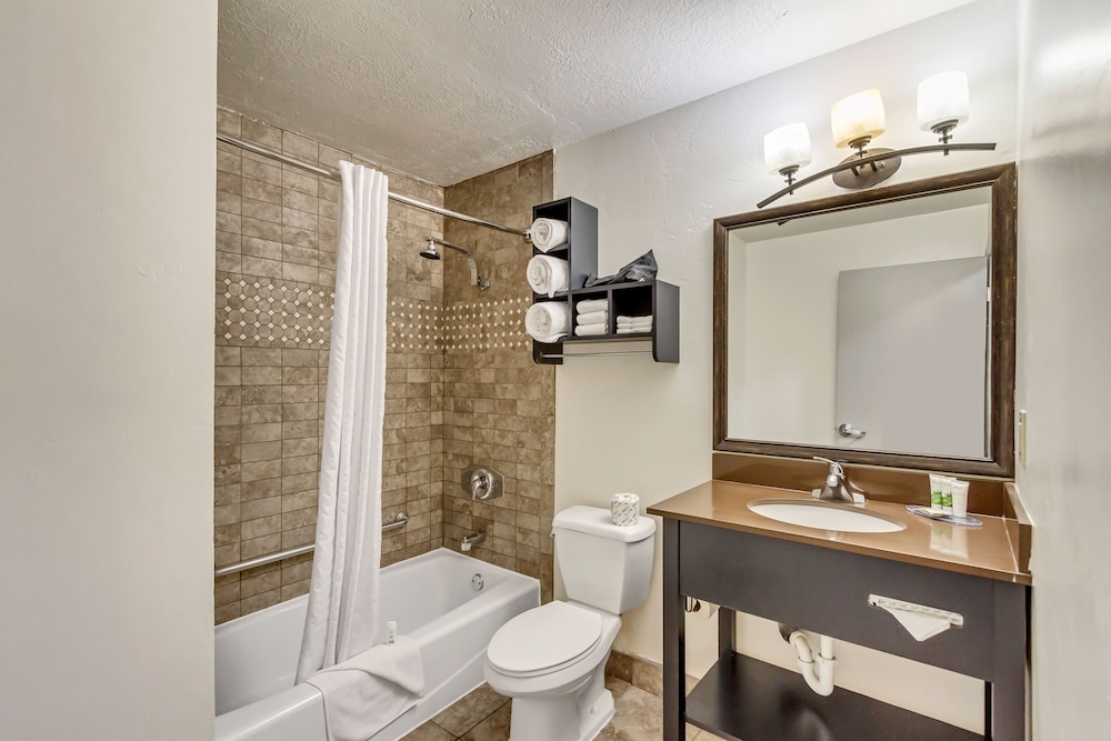 جناح بسرير كينج بغرفة نوم واحدة مع أريكة، Park Inn By Radisson Salt Lake City Midvale 8/8