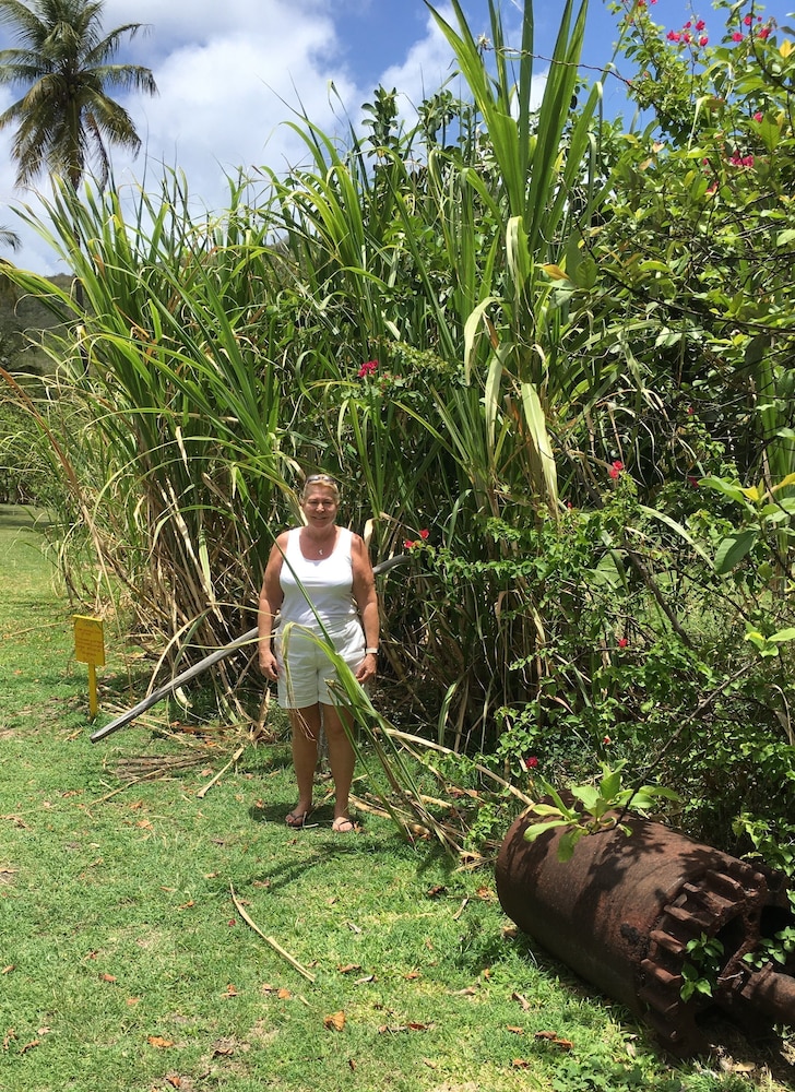 Firefly Plantation Bequia 38/50