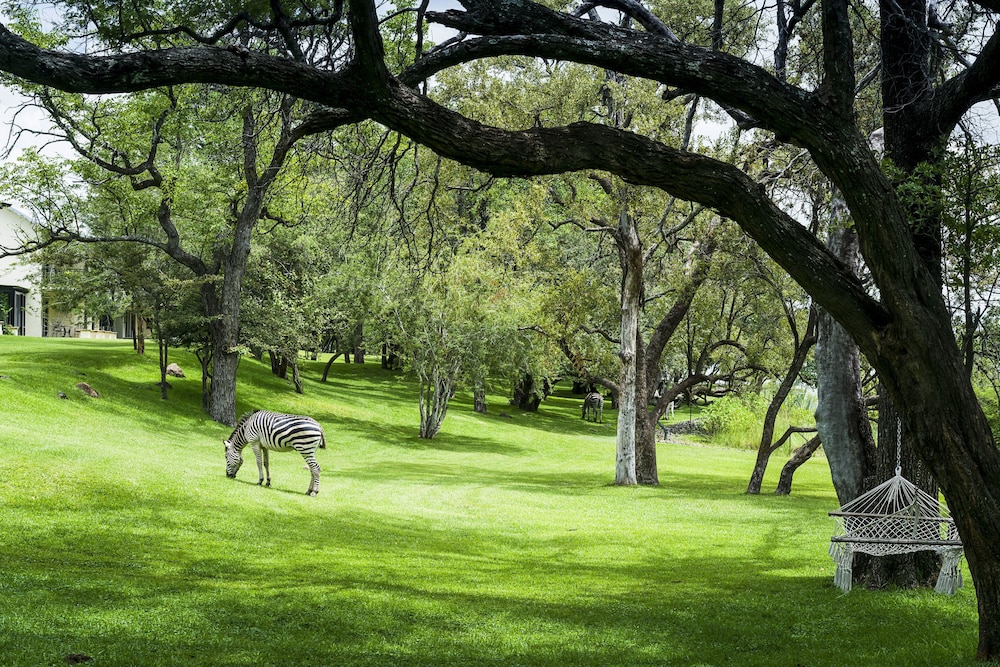 THE ROYAL LIVINGSTONE VICTORIA FALLS ZAMBIA HOTEL BY ANANTARA 36/50