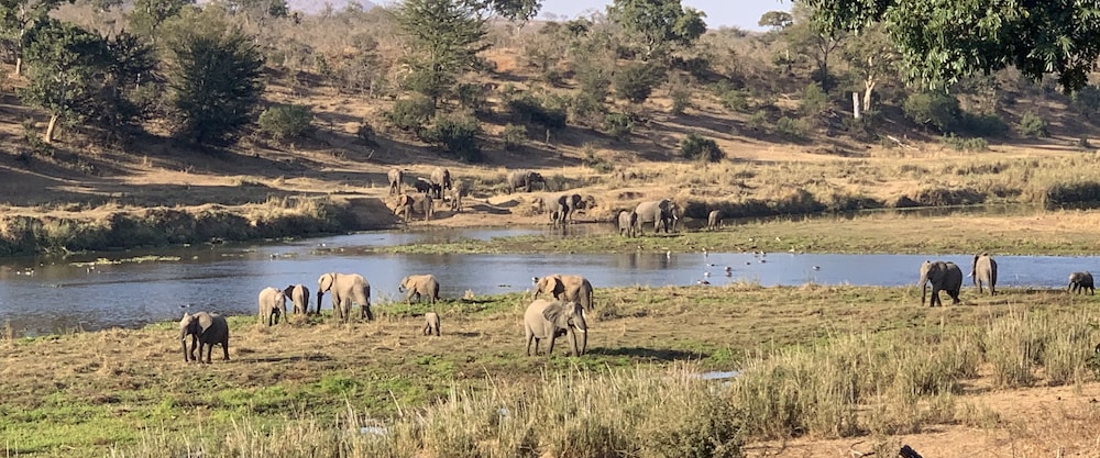 Kambaku River Lodge 46/50
