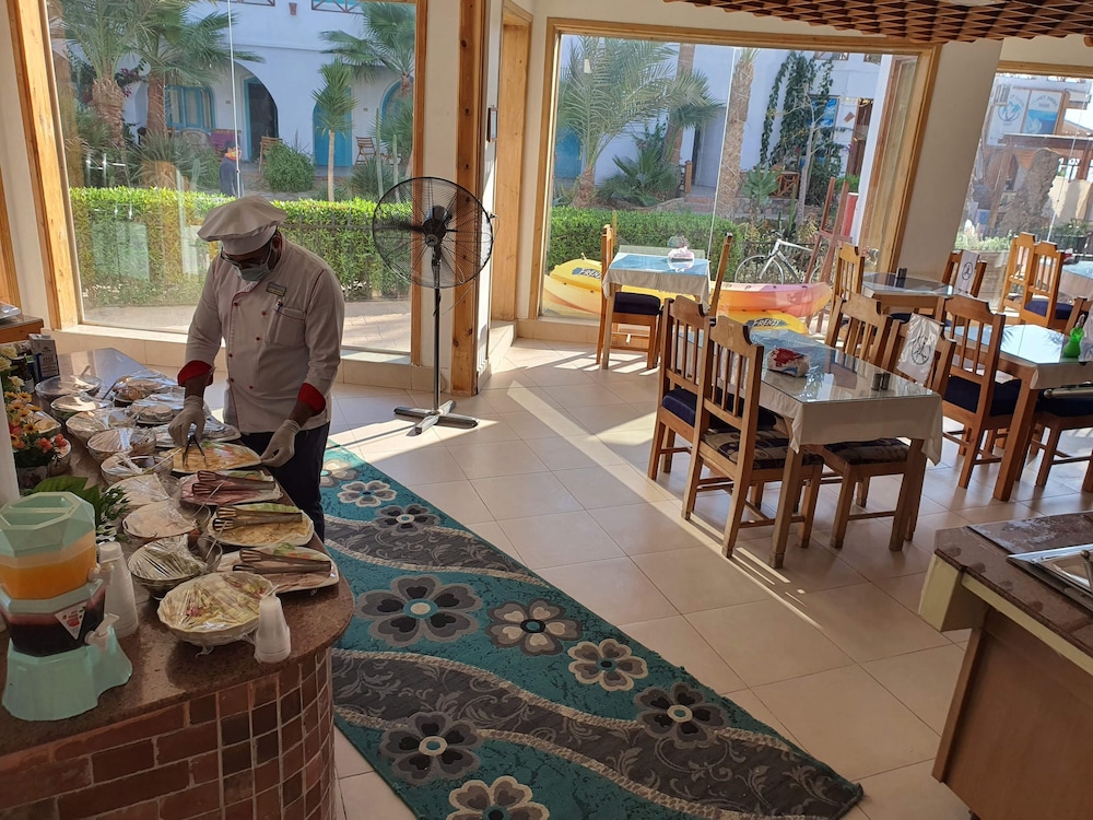 Red Sea Relax 19/37