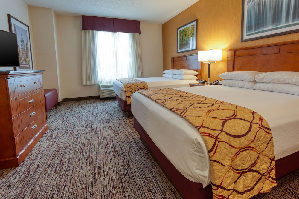 غرفة ديلوكس بسريرين كوين في طابق مرتفع 2/5