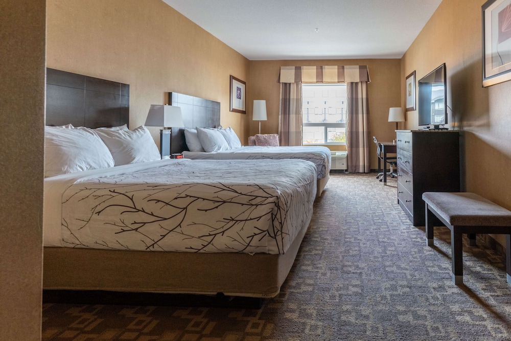 Standard, 2 Queen Beds