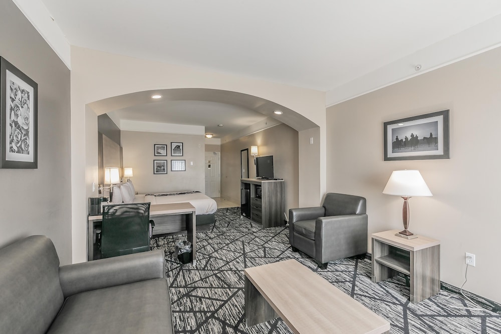 La Quinta Inn and Suites by Wyndham Granbury 39/62