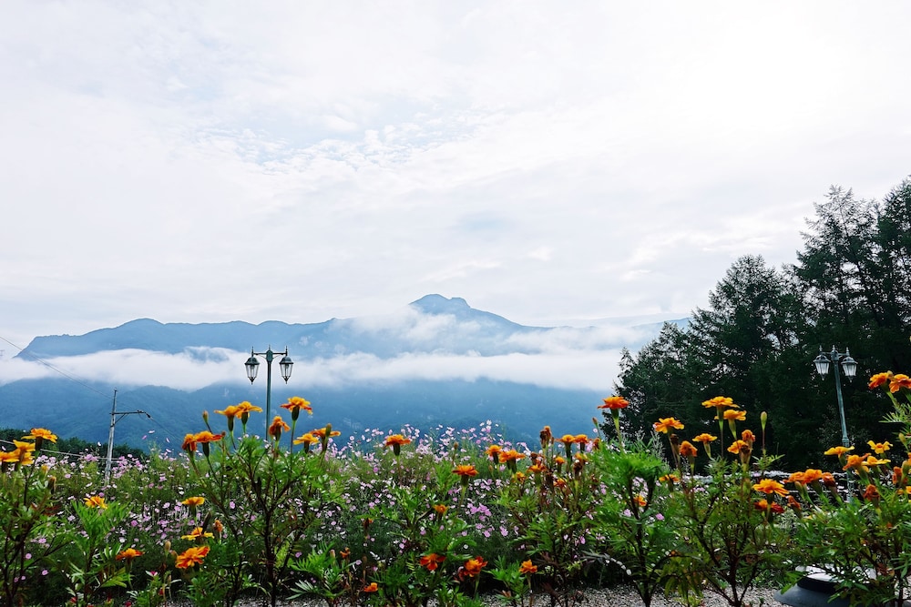 Pyeongchang Just Like Natural Home Pension 43/50