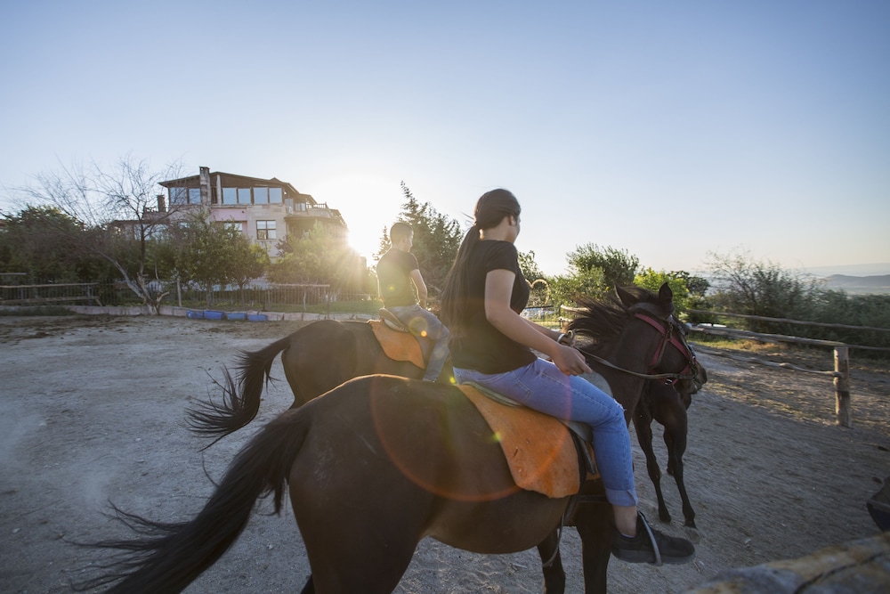 KARLIK EVI HOTEL - SPECIAL CATEGORY 43/51
