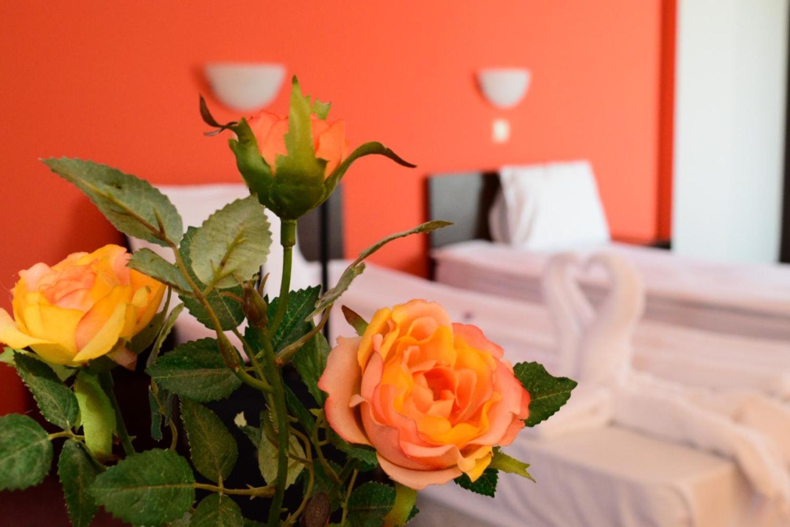 Bon Voyage Hotel Alexander 33/48