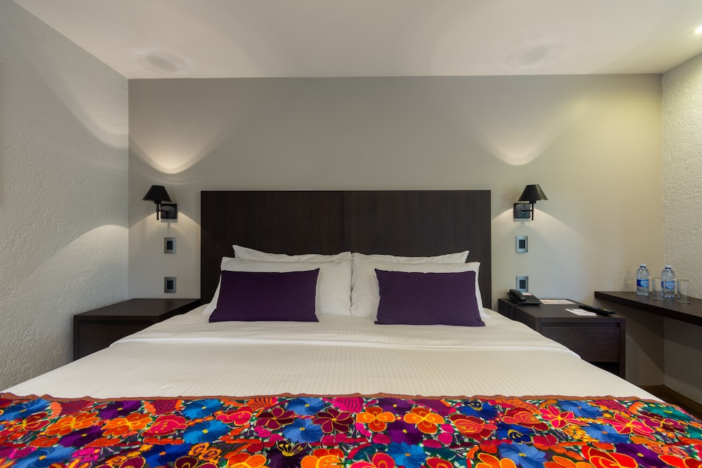 Hotel Flamingo Inn 30/67