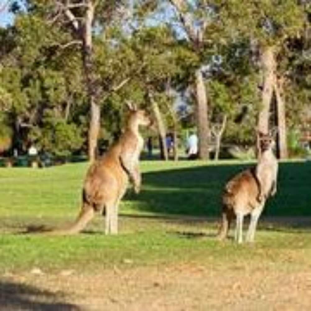 Novotel Swan Valley Vines Resort 57/61